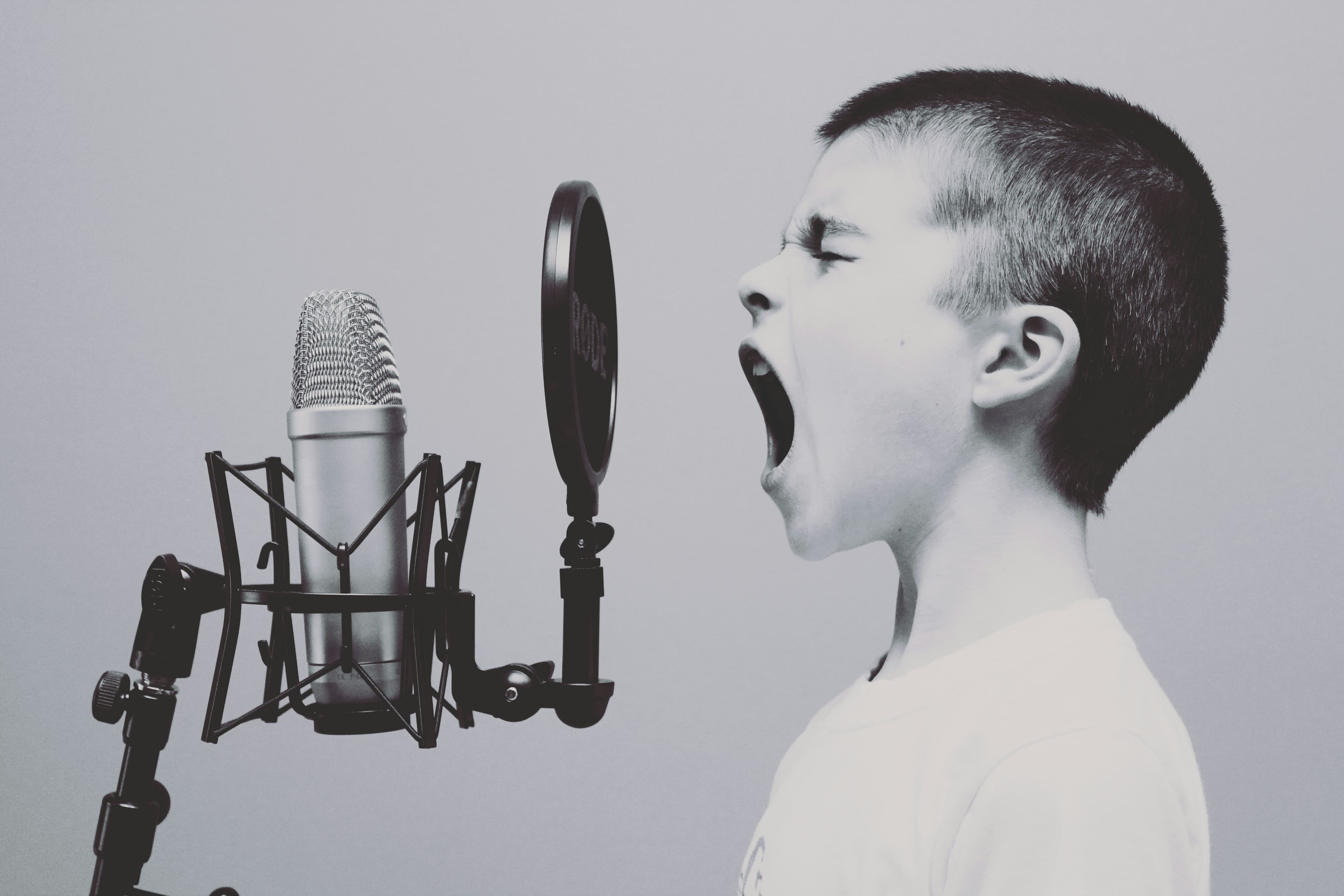 Advanced AI voice technology